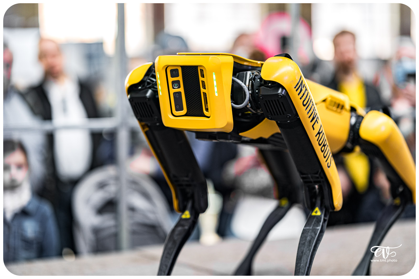 SPOT (BOSTON DYNAMICS)